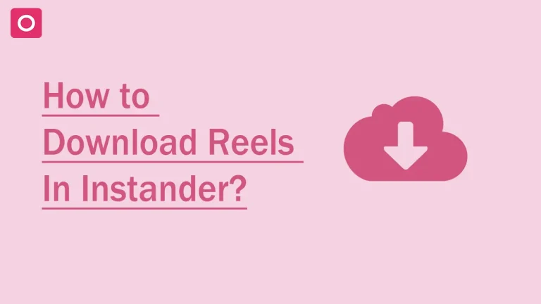 Download Reels In Instander